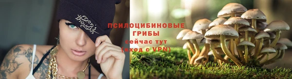гидропоника Абдулино