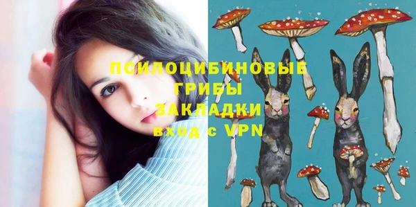 PSILOCYBIN Алзамай