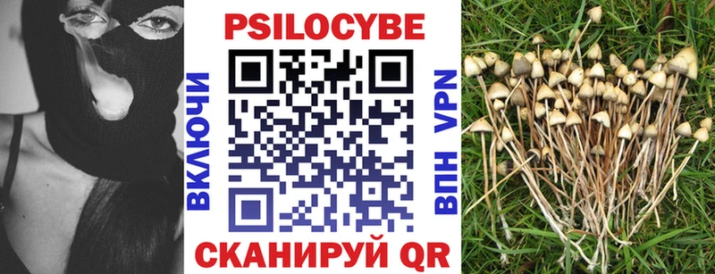 Псилоцибиновые грибы MAGIC MUSHROOMS  продажа наркотиков  Углегорск 